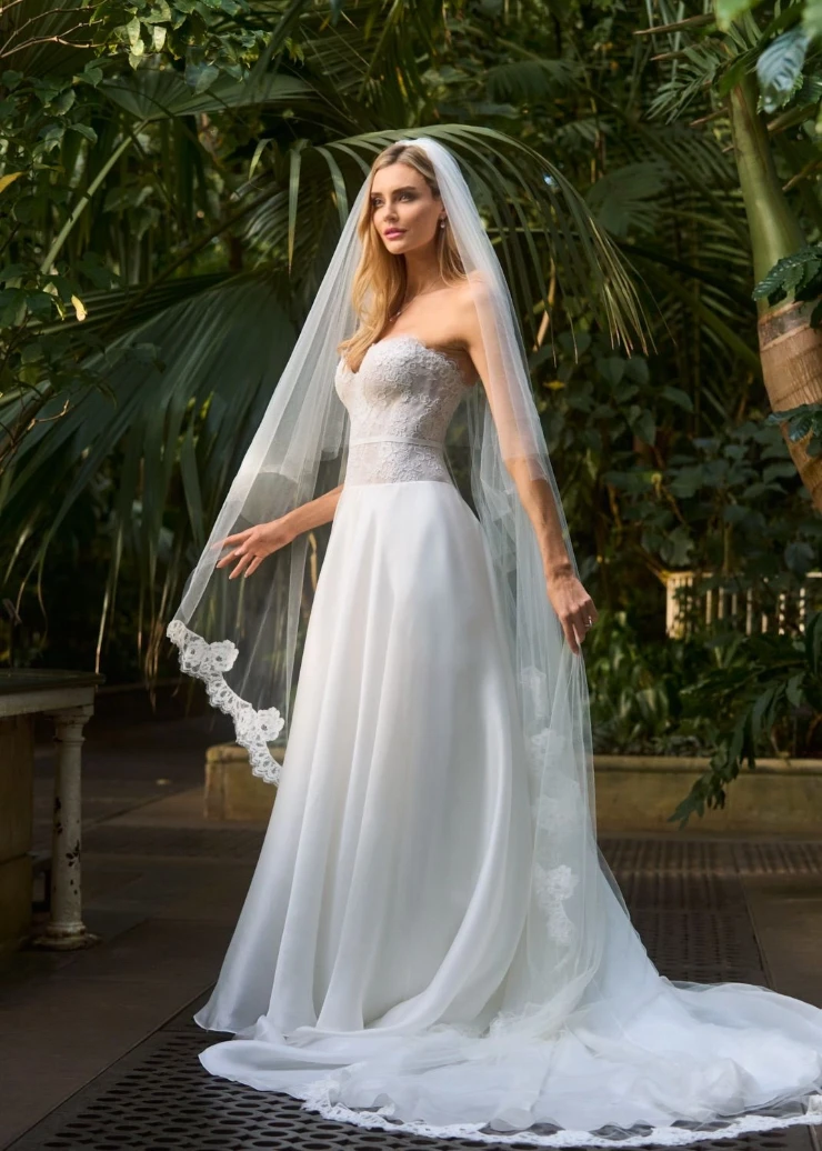 Caroline Castigliano Lets Fall in Love Default Thumbnail Image