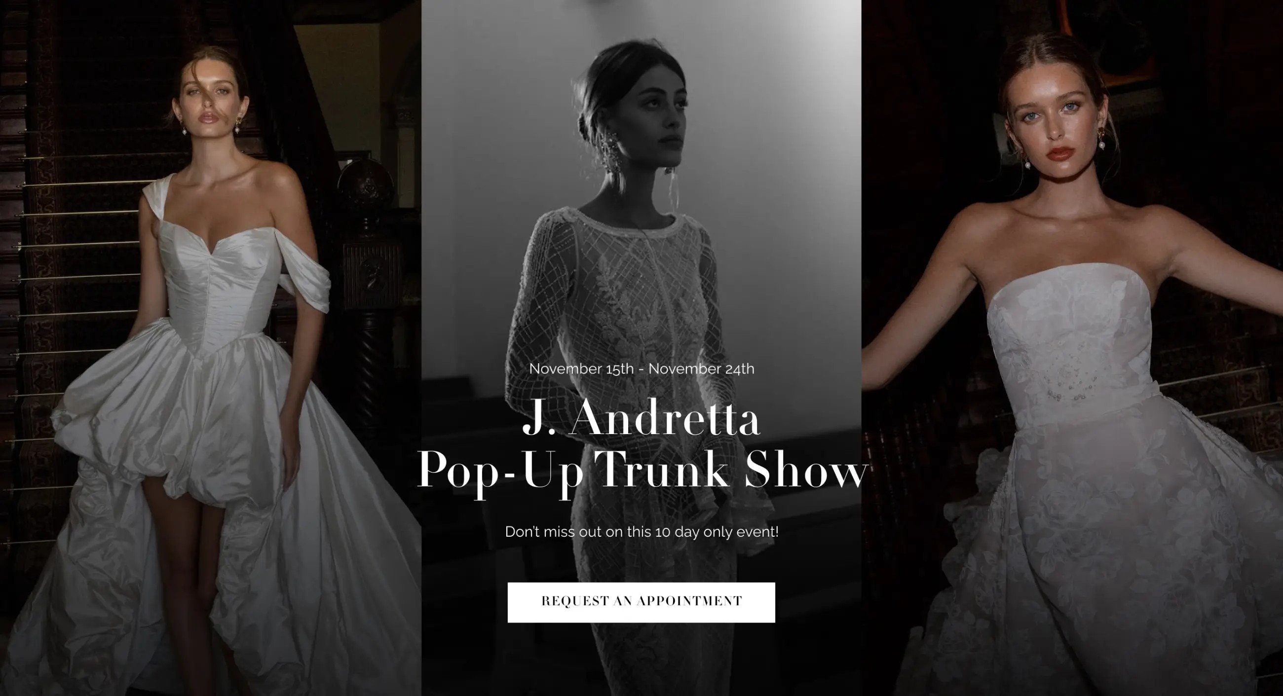 J. Andretta Trunk Show Desktop